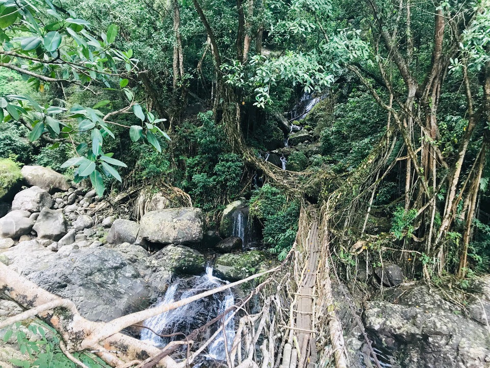 Photo of Meghalaya by Nagi Reddy Kaipu