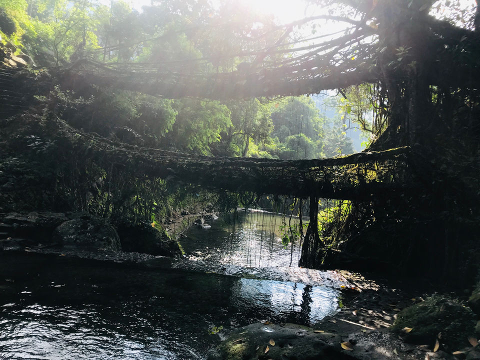 Photo of Meghalaya by Nagi Reddy Kaipu