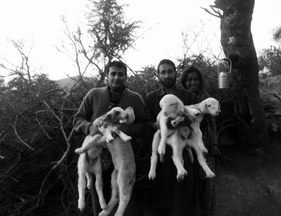 Photo of Bakarwals by Beyond Buddha
