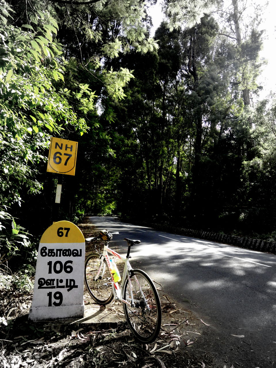 Photo of Cycling the Nilgris.... 5/16 by Beyond Buddha