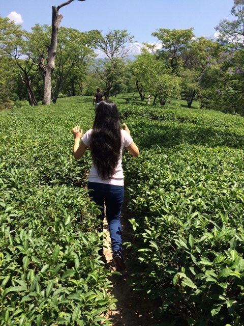 Photo of Travel solo and feel free! 2/10 by Ruchika