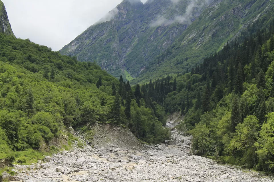 Photo of Ghangaria, Uttarakhand, India by nipali.mishra