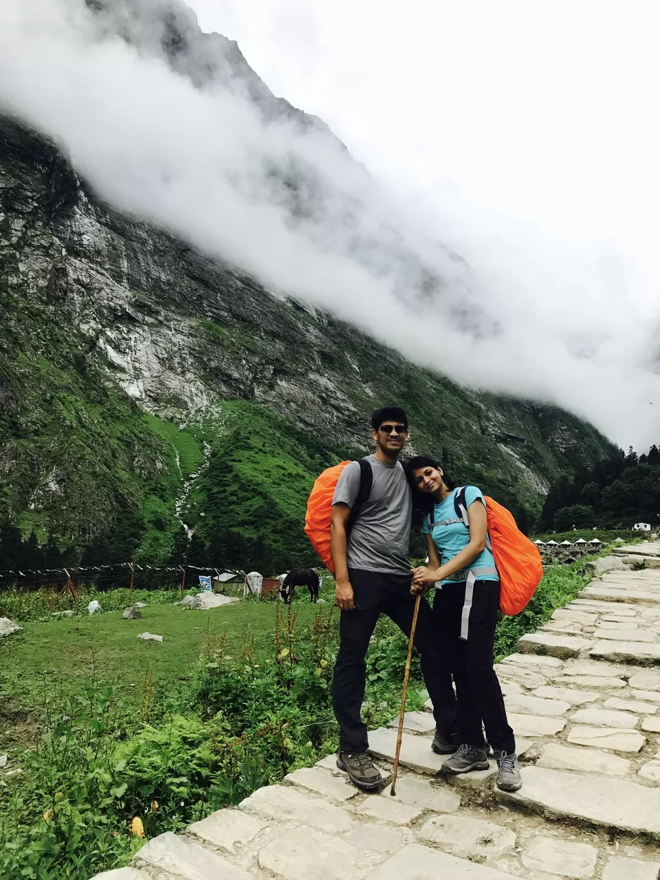 Photo of Ghangaria, Uttarakhand, India by nipali.mishra