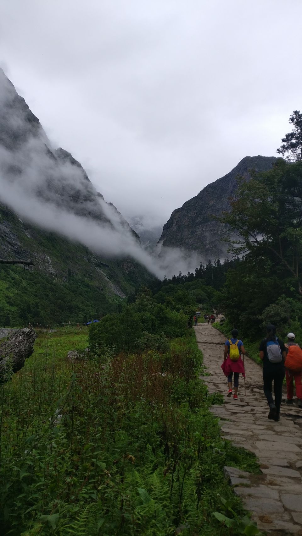 Photo of Ghangaria, Uttarakhand, India by nipali.mishra