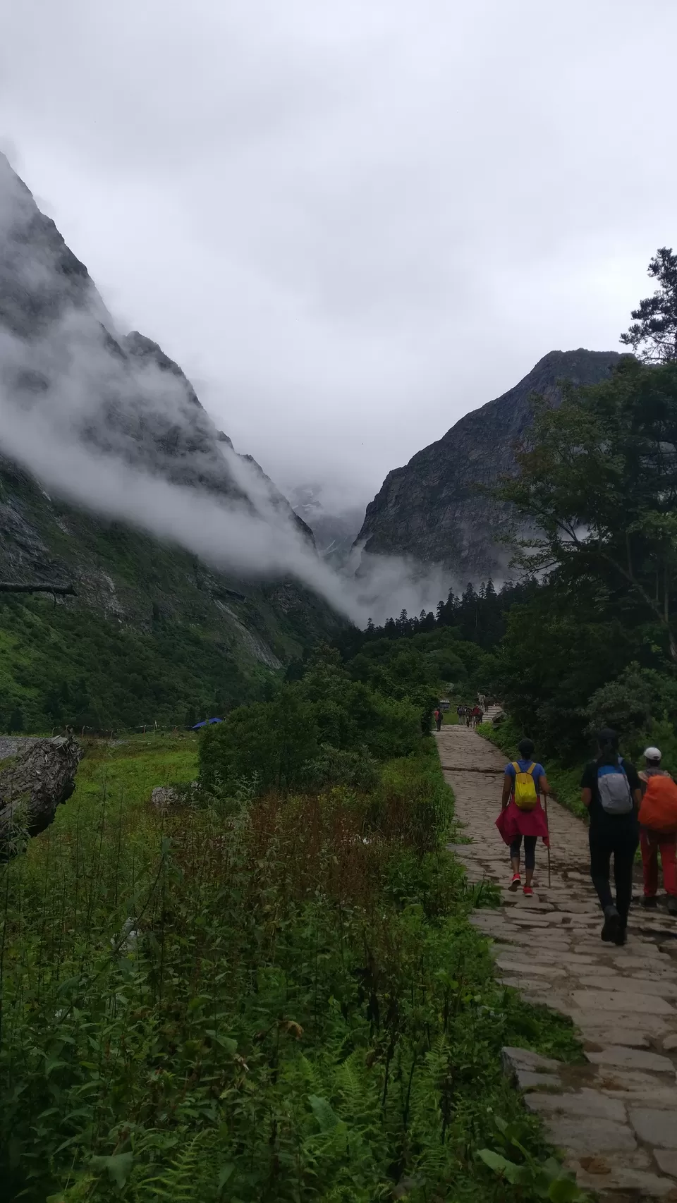 Photo of Ghangaria, Uttarakhand, India by nipali.mishra