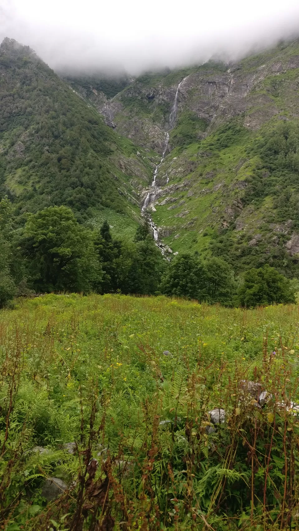 Photo of Ghangaria, Uttarakhand, India by nipali.mishra