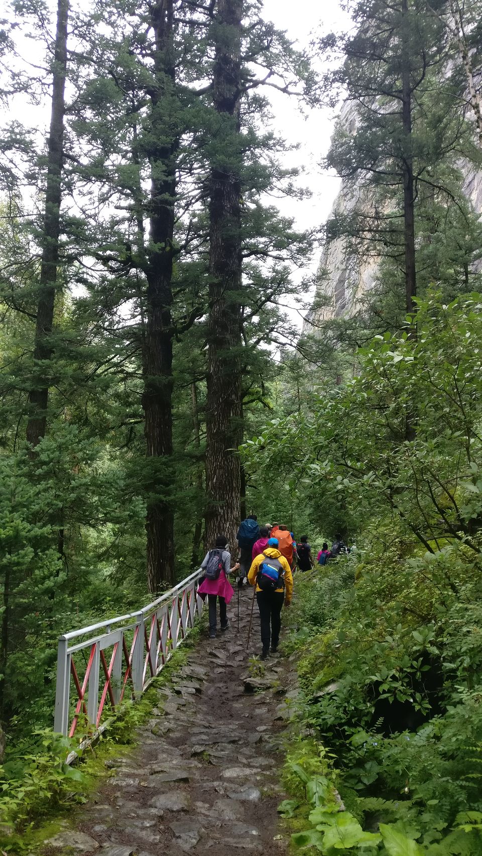 Photo of Valley of Flowers National Park, Chamoli, Uttarakhand, India by nipali.mishra