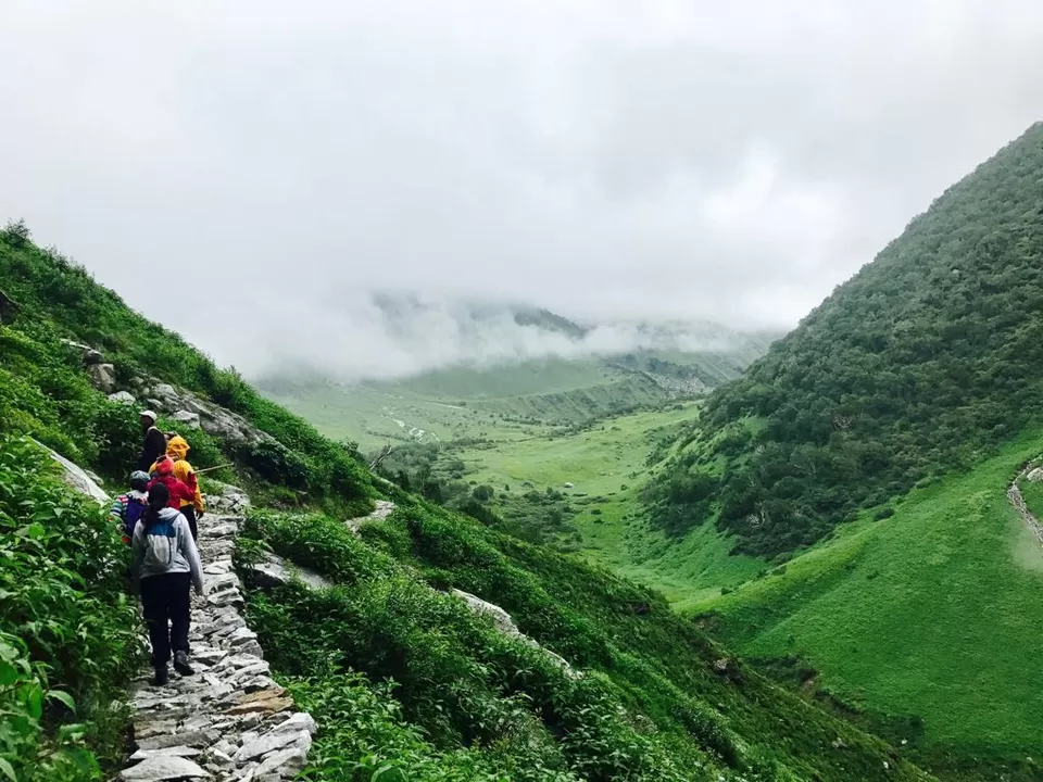 Photo of Valley of Flowers : A Love Affair with the Flowers in the Himalayan Monsoon by nipali.mishra