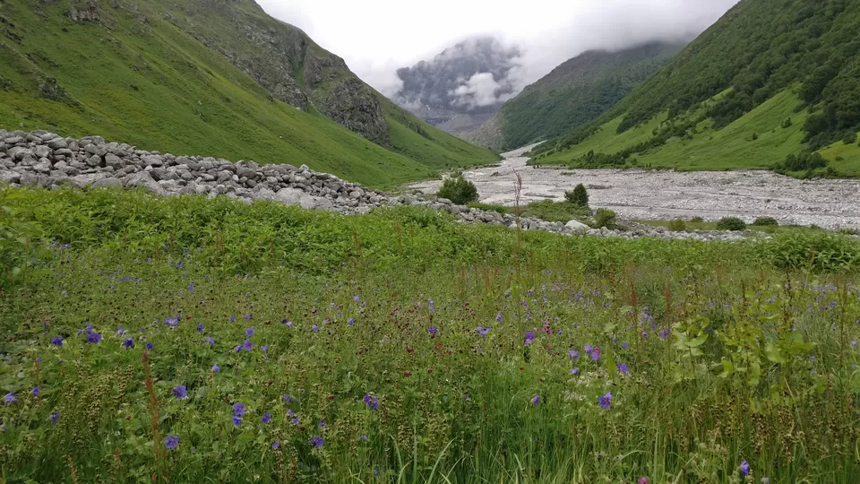 Photo of Valley of Flowers : A Love Affair with the Flowers in the Himalayan Monsoon by nipali.mishra