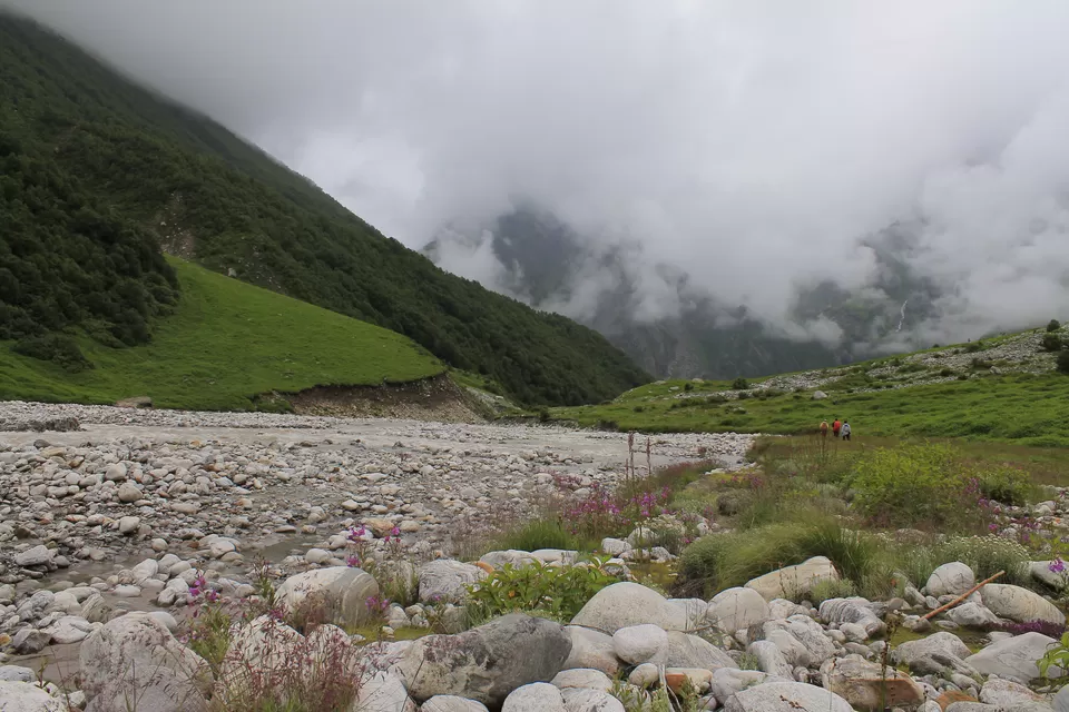 Photo of Valley of Flowers : A Love Affair with the Flowers in the Himalayan Monsoon by nipali.mishra