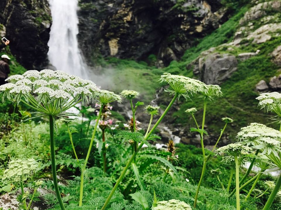 Photo of Ghangaria, Uttarakhand, India by nipali.mishra