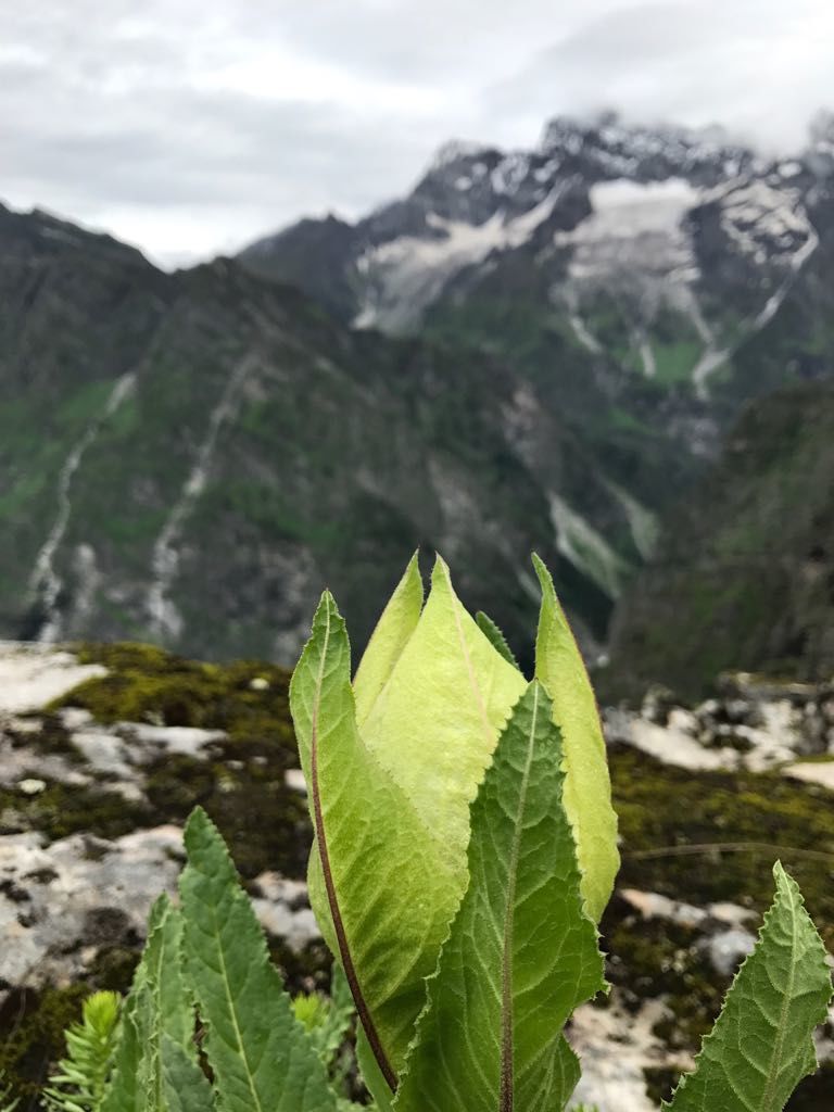 Photo of Hemkund, India by nipali.mishra