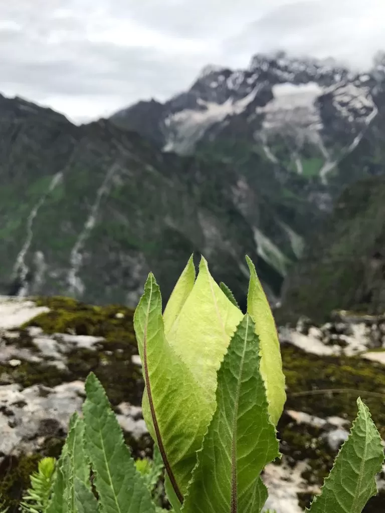 Photo of Hemkund, India by nipali.mishra