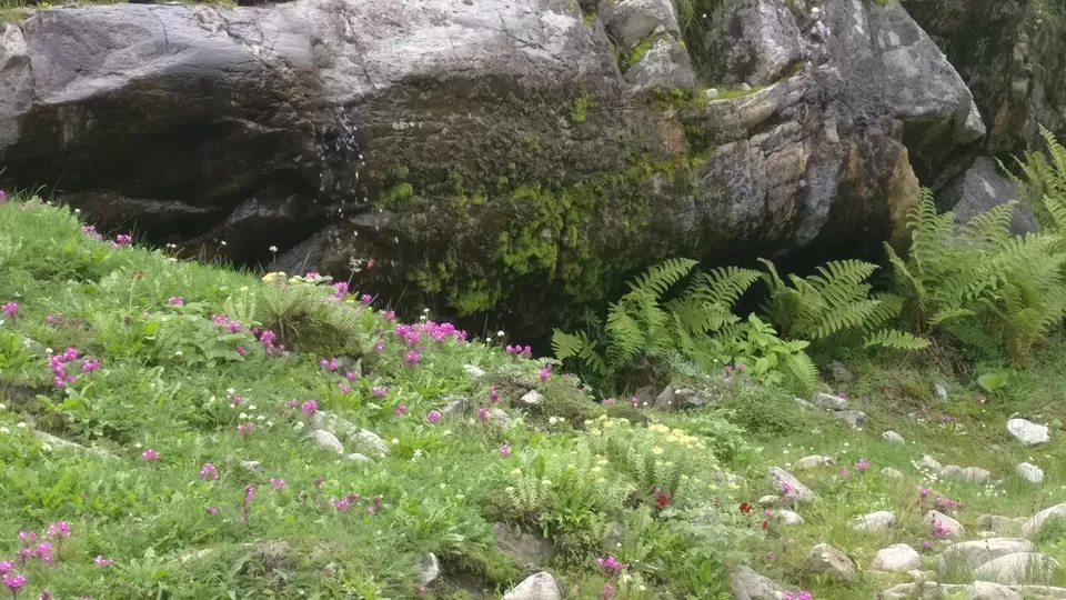 Photo of Hemkund, India by nipali.mishra