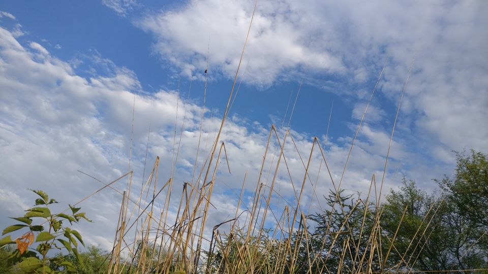 Photo of Gurugram, Haryana, India by nipali.mishra