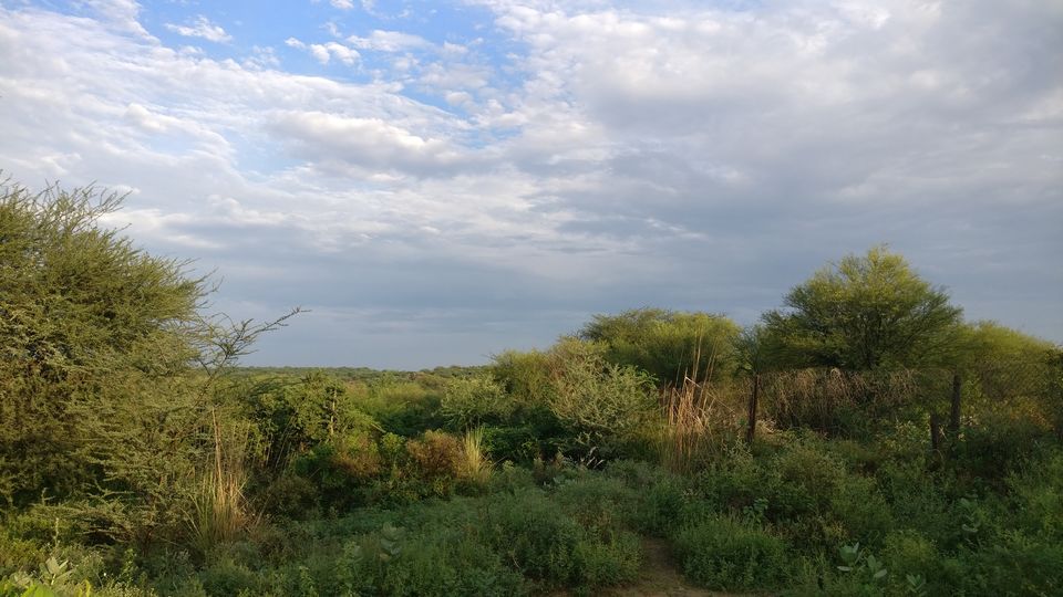 Photo of Gurugram, Haryana, India by nipali.mishra
