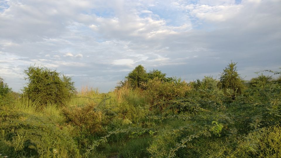Photo of Gurugram, Haryana, India by nipali.mishra