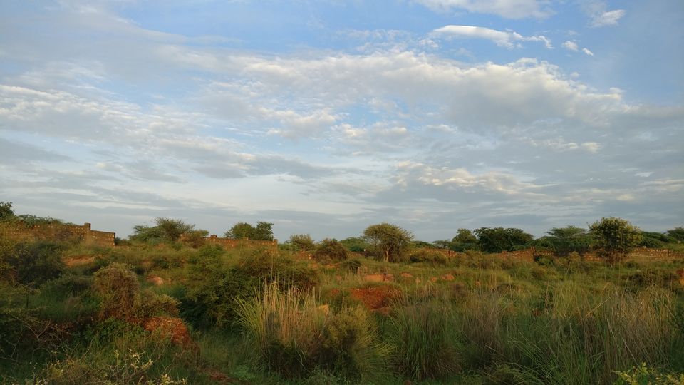 Photo of Gurugram, Haryana, India by nipali.mishra