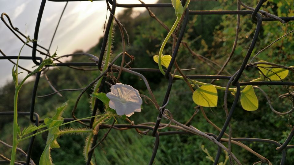 Photo of Gurugram, Haryana, India by nipali.mishra