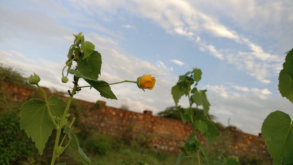 Photo of Gurugram, Haryana, India by nipali.mishra
