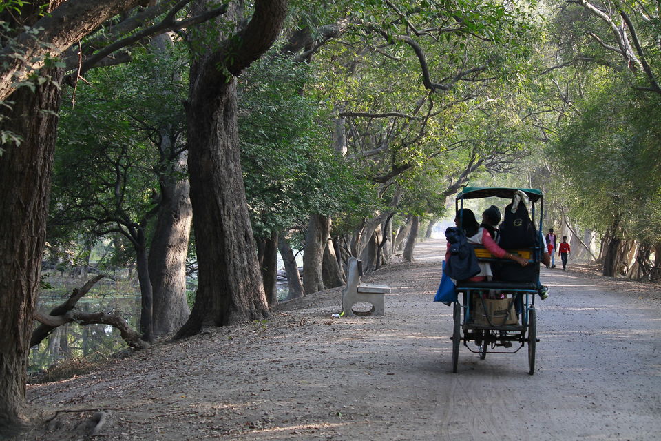 Photo of Bharatpur, Rajasthan, India by nipali.mishra