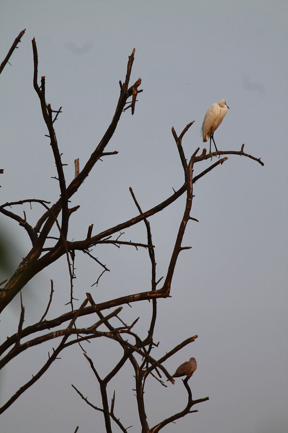 Photo of Bharatpur, Rajasthan, India by nipali.mishra