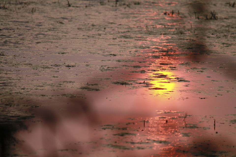 Photo of Bharatpur, Rajasthan, India by nipali.mishra