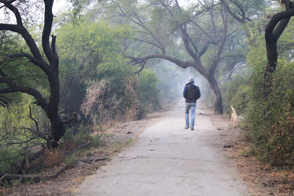 Photo of Bharatpur, Rajasthan, India by nipali.mishra
