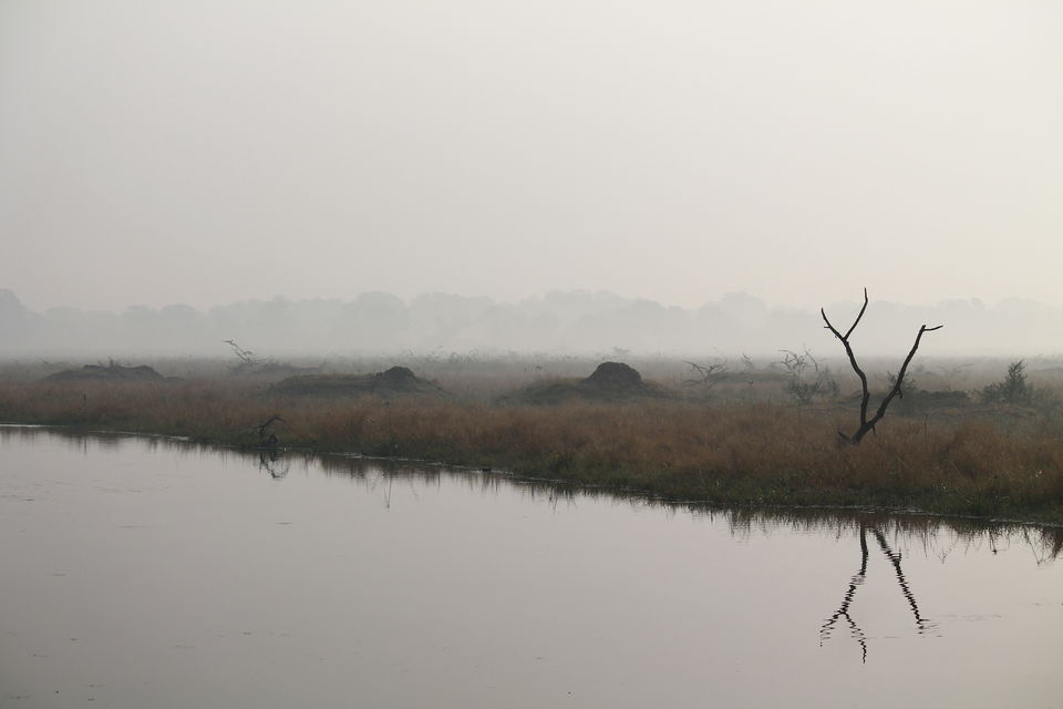 Photo of Bharatpur, Rajasthan, India by nipali.mishra