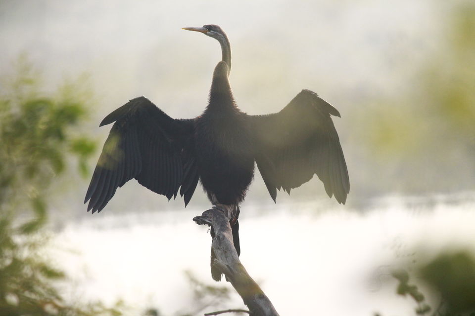 Photo of Bharatpur, Rajasthan, India by nipali.mishra