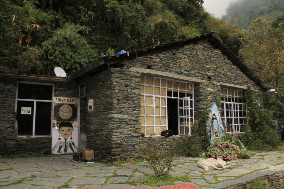 Photo of Bhagsu Nag Waterfall Pathway, Bhagsu Nag, Dharamshala, Himachal Pradesh, India by nipali.mishra