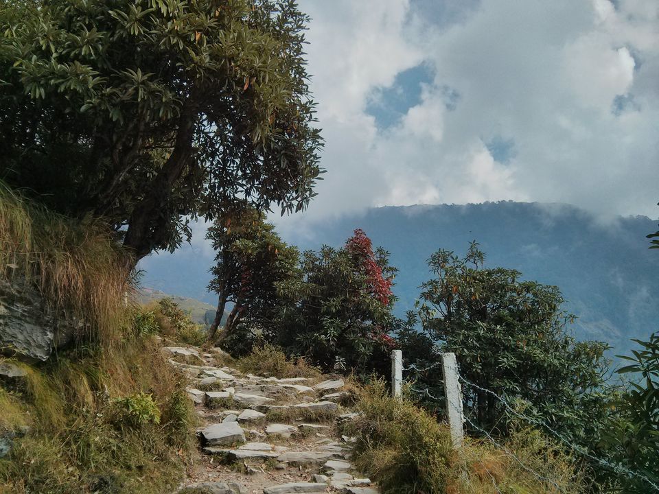Photo of McLeod Ganj, Dharamshala, Himachal Pradesh, India by nipali.mishra