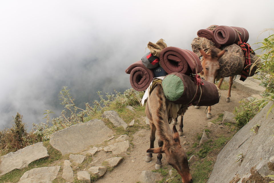 Photo of McLeod Ganj, Dharamshala, Himachal Pradesh, India by nipali.mishra