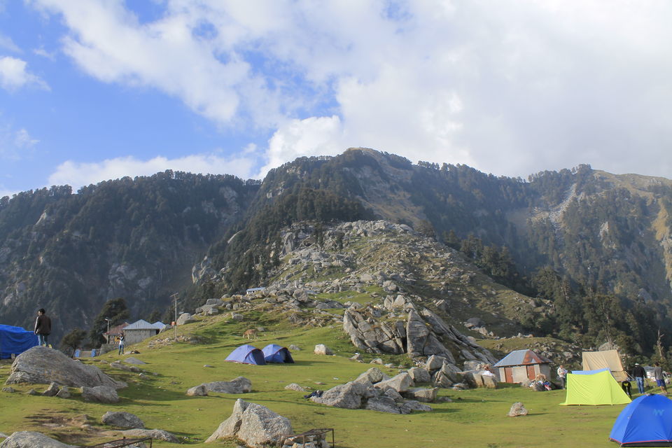 Photo of Triund, Himachal Pradesh by nipali.mishra