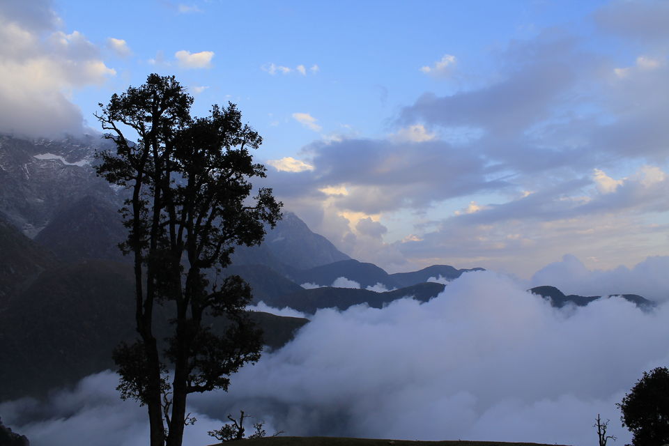 Photo of Triund, Himachal Pradesh by nipali.mishra