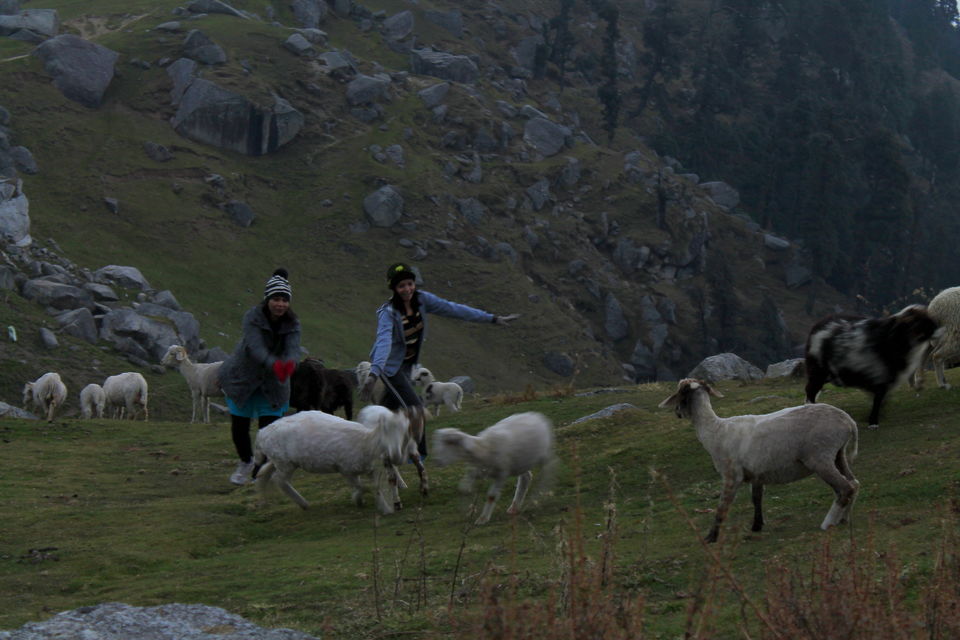 Photo of Triund, Himachal Pradesh by nipali.mishra