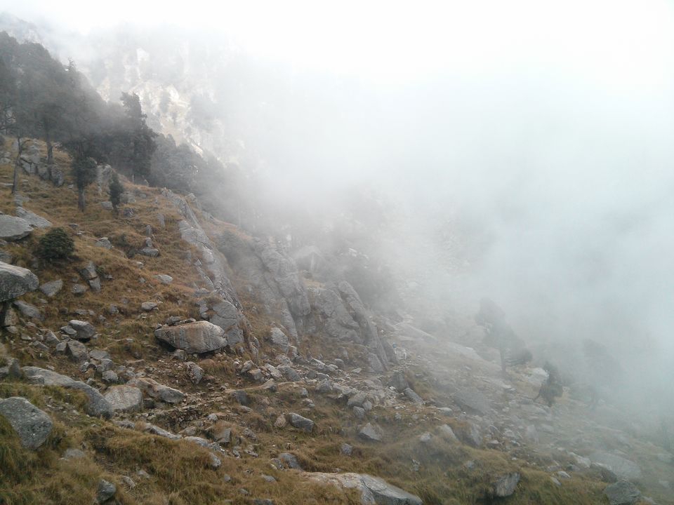 Photo of SnowLine Cafe, Dharamshala, Himachal Pradesh, India by nipali.mishra