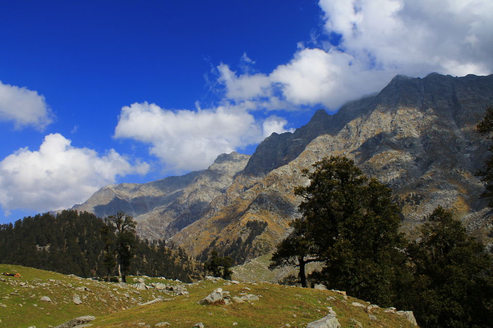 Photo of SnowLine Cafe, Dharamshala, Himachal Pradesh, India by nipali.mishra