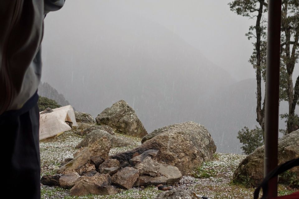 Photo of Triund, Himachal Pradesh by nipali.mishra