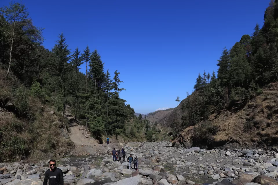 Photo of Baggi, Himachal Pradesh, India by nipali.mishra