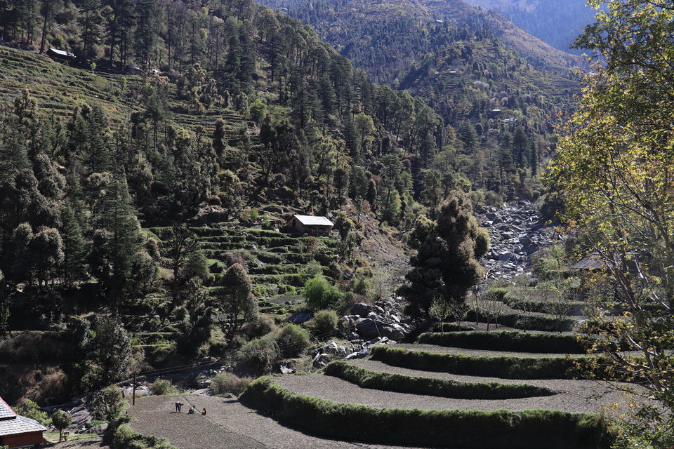 Photo of Baggi, Himachal Pradesh, India by nipali.mishra