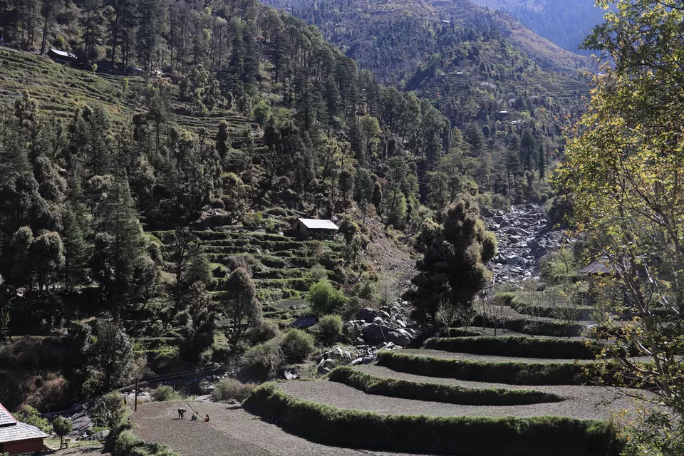Photo of Baggi, Himachal Pradesh, India by nipali.mishra