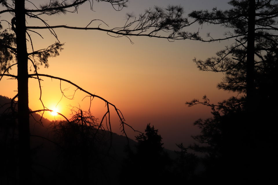 Photo of Prashar Lake: A quick and beautiful getaway to the mountains by nipali.mishra
