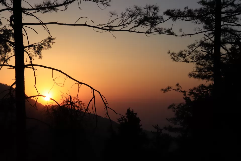 Photo of Prashar Lake: A quick and beautiful getaway to the mountains by nipali.mishra