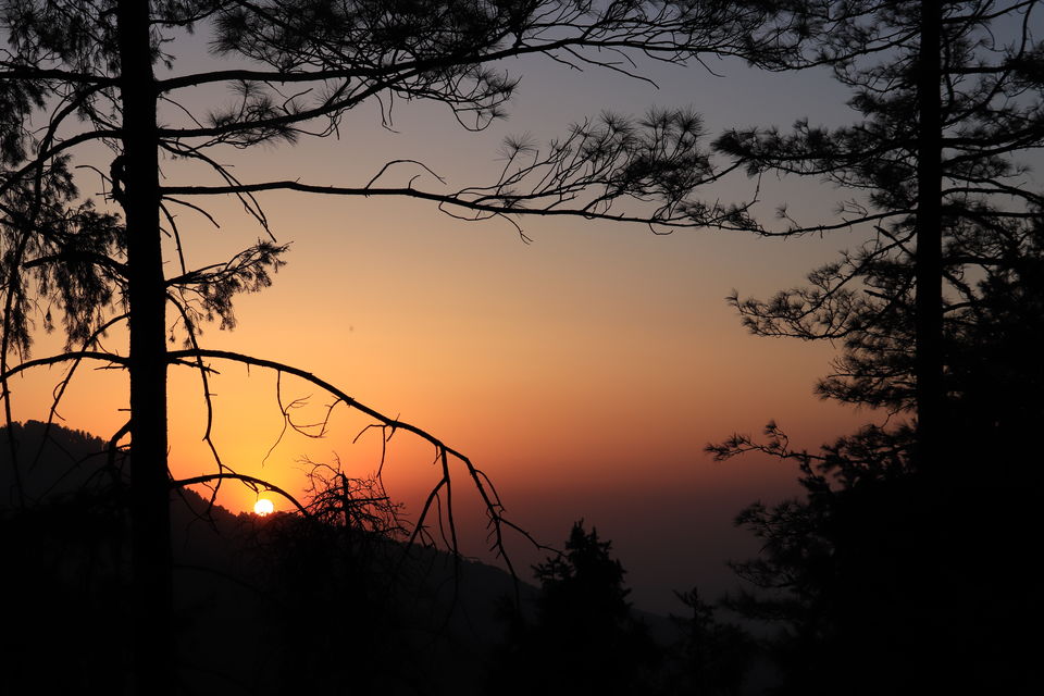 Photo of Prashar Lake: A quick and beautiful getaway to the mountains by nipali.mishra