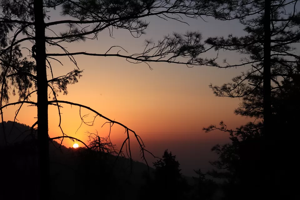 Photo of Prashar Lake: A quick and beautiful getaway to the mountains by nipali.mishra