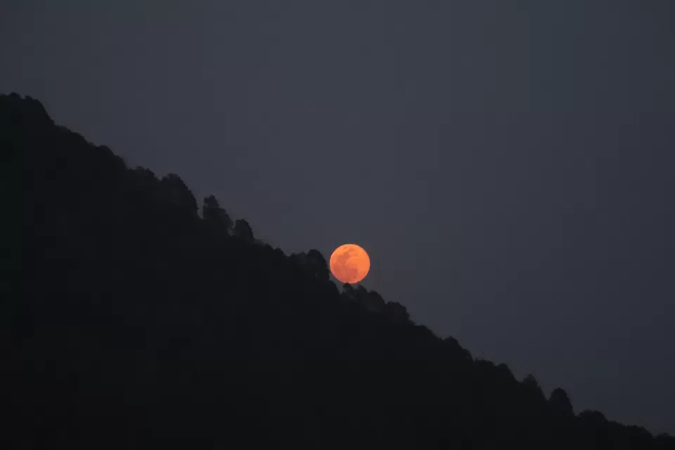 Photo of Rewalsar Lake, Rewalsar, Himachal Pradesh by nipali.mishra