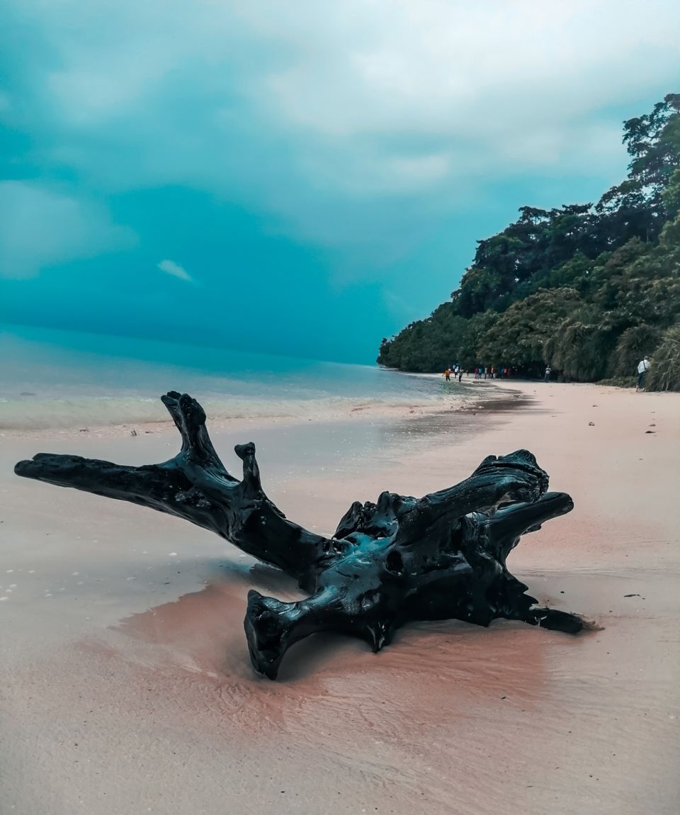 Photo of Havelock Island, Andaman and Nicobar Islands by Aaheli Roy