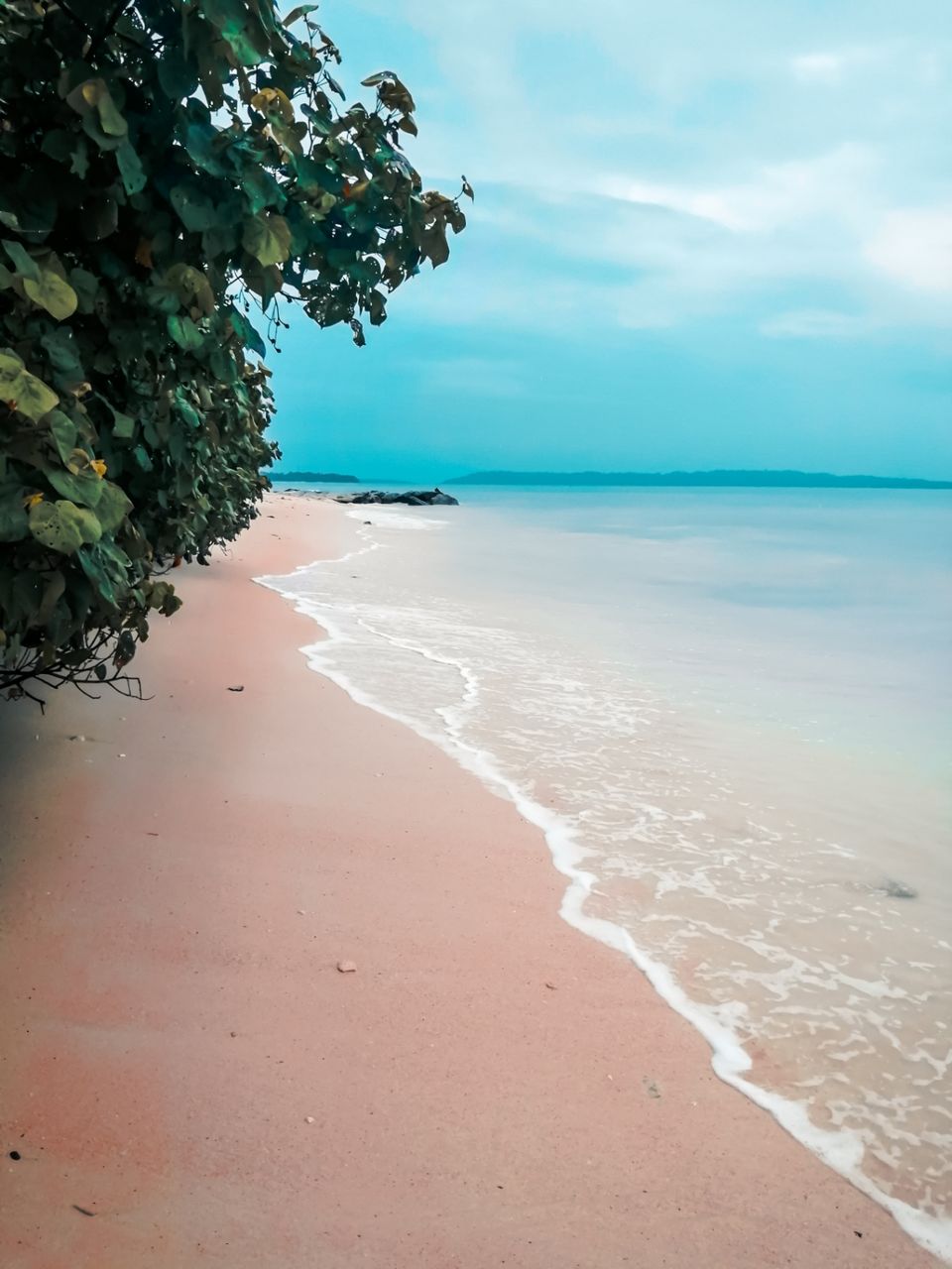 Photo of Havelock Island, Andaman and Nicobar Islands by Aaheli Roy