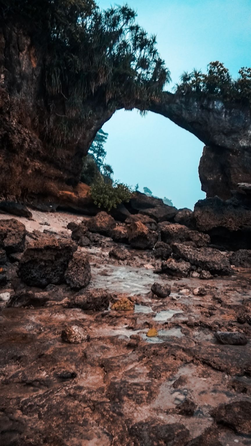 Photo of Neil Island, Andaman and Nicobar Islands by Aaheli Roy